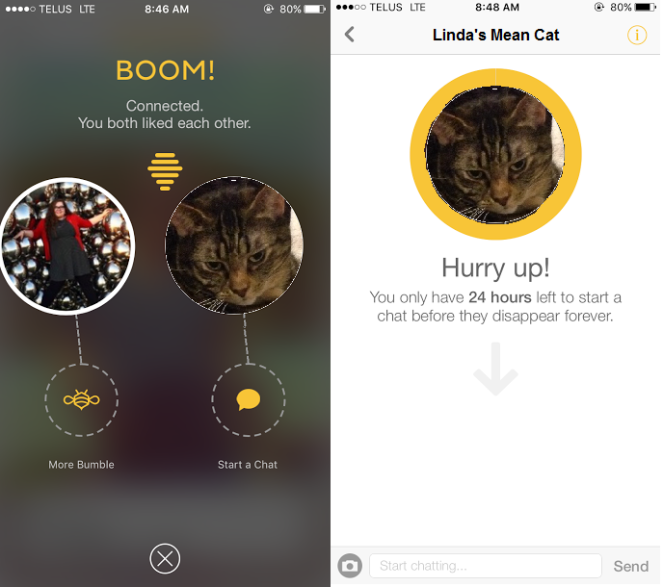How to use the dating app bumble